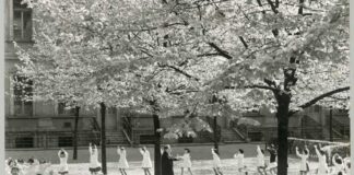 Lo sport racconta l’Italia che cambia, inaugurata la mostra all’M9 mostra M9