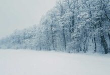 Veneto, scatta lo stato di attenzione per neve, vento forte e ghiaccio venezia@orientale_IMG_ stato di attenzione