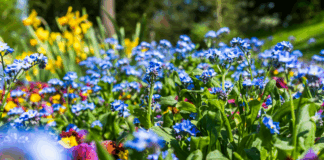 Aprile a Concordia Sagittaria: un mese tutto da vivere