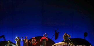 Il piccolo principe di Valtinoni in scena al Teatro Malibran piccolo principe Valtinoni