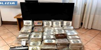Maxi sequestro di cocaina tra Treviso e Mantova: tre arresti Maxi sequestro di cocaina