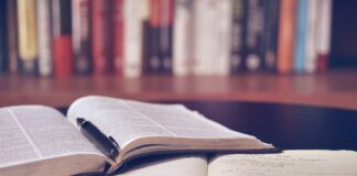 Abitare le parole: un mese di eventi per riscoprire il valore della lettura