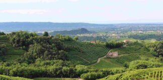 Una settimana di eventi dedicati alla biodiversità dei Parchi Veneti Parchi Veneti
