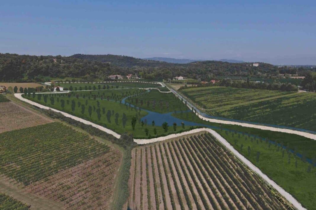 20 milioni