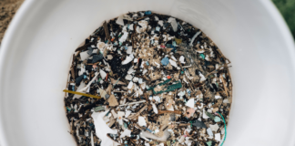 Plastiche e microplastiche, un incontro a Caorle per difendere la biodiversità del mare