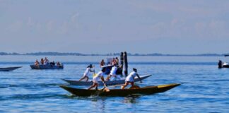 Stagione Remiera, domenica 9 la regata giovanile di Portosecco Portosecco Stagione Remiera