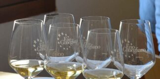 Un calice in centro a Conegliano con Veneto Wine Stars Veneto Wine Stars