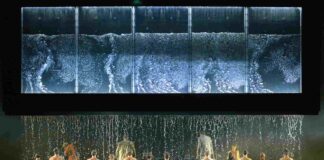 Aquagranda torna alla Fenice dieci anni dopo: proiezione il 4 novembre Aquagranda Fenice