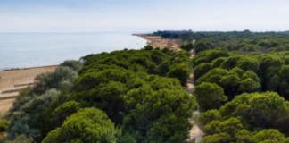 Pedalando tra Val Grande, il Faro e il Mare alla scoperta della natura di Bibione