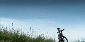 Venezia, due nuove piste ciclopedonali per 2,7 chilometri due nuove piste ciclopedonali